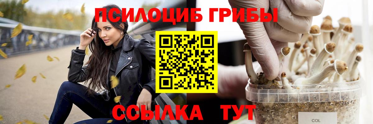 Псилоцибиновые грибы прущие грибы  Вход с VPN  Галлюциногенные грибы GOLDEN TEACHER  Белгород 